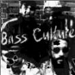 www.BassCulture.com